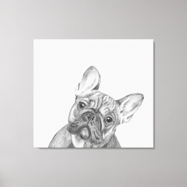 Cute French Bulldog 12" x 12" wrapped canvas print (Front)