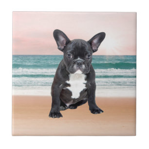 Cute French Bulldog Beach Sun Water Tile