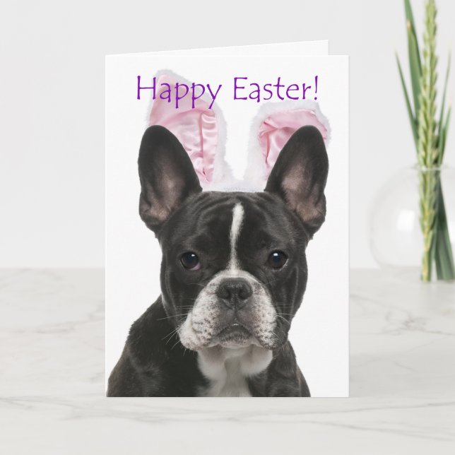 Cute French Bulldog Easter Card (Front)