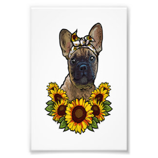 cute french bulldog gift sunflower decor frenchie photo print