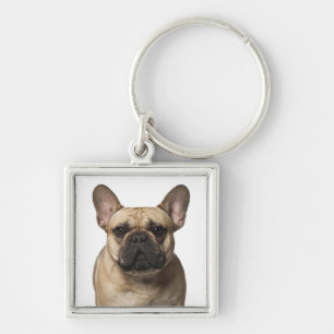 Cute French Bulldog Mom Frenchie Dad Puppy Dog Keychain