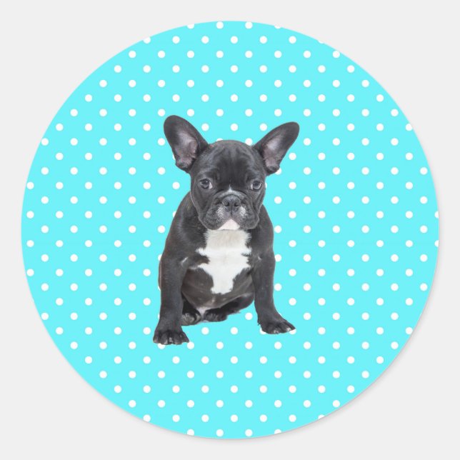 Cute French Bulldog Puppy Blue Polka Dots Classic Round Sticker (Front)