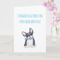 Cute French bulldog puppy new pet card