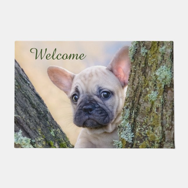 Cute French Bulldog Puppy Posing in a Branch Fork Doormat (Front)