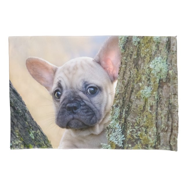 Cute French Bulldog Puppy Posing in a Branch Fork Pillowcase (Front)
