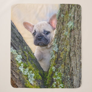 Cute French Bulldog Puppy Posing in a Branch Fork Sherpa Blanket