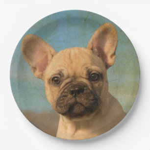 Cute French Bulldog Puppy Vintage, Happy Party Paper Plate