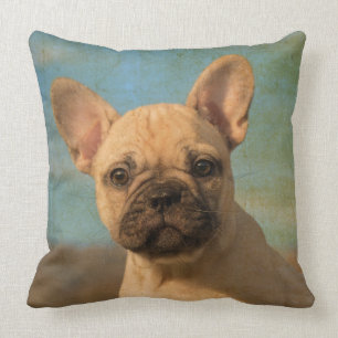 Cute French Bulldog puppy, vintage Throw Pillow