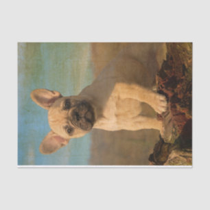 Cute French Bulldog puppy, vintage Tissue Paper