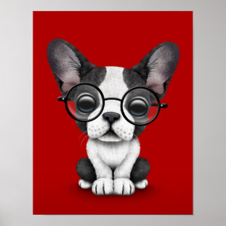 Cute French Bulldog Puppy with Glasses, red Poster