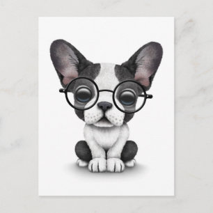 Cute French Bulldog Puppy with Glasses, white Postcard