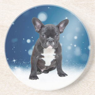 Cute French Bulldog Snow Stars Blue Christmas Coaster