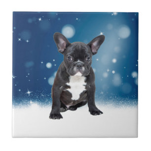 Cute French Bulldog Snow Stars Blue Christmas Tile