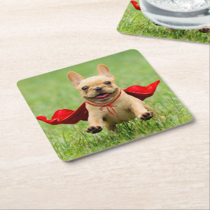 Cute French Bulldog Superhero Runs in Grass Square Paper Coaster