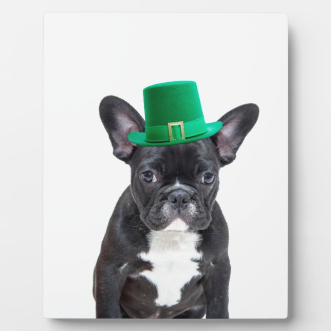 Cute French Bulldog with Hat St. Patrick's Day Plaque (Front)
