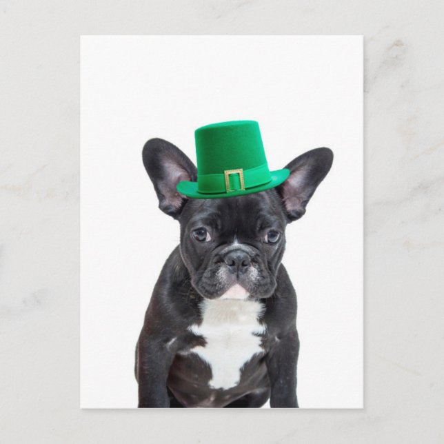Cute French Bulldog with Hat St. Patrick's Day Postcard (Front)