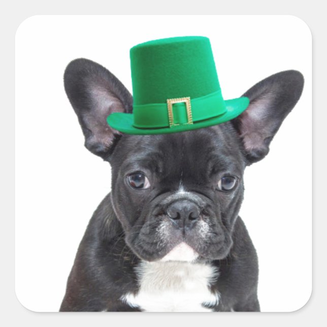 Cute French Bulldog with Hat St. Patrick's Day Square Sticker (Front)