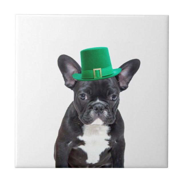 Cute French Bulldog with Hat St. Patrick's Day Tile (Front)