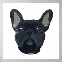 Cute frenchie  bulldog face