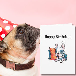 cute Frenchy pet dog,dressed animal,Funny Birthday Card