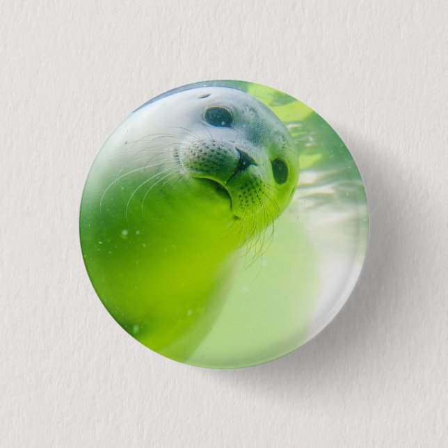 Cute Friendly Seal Underwater 1 Inch Round Button (Front)