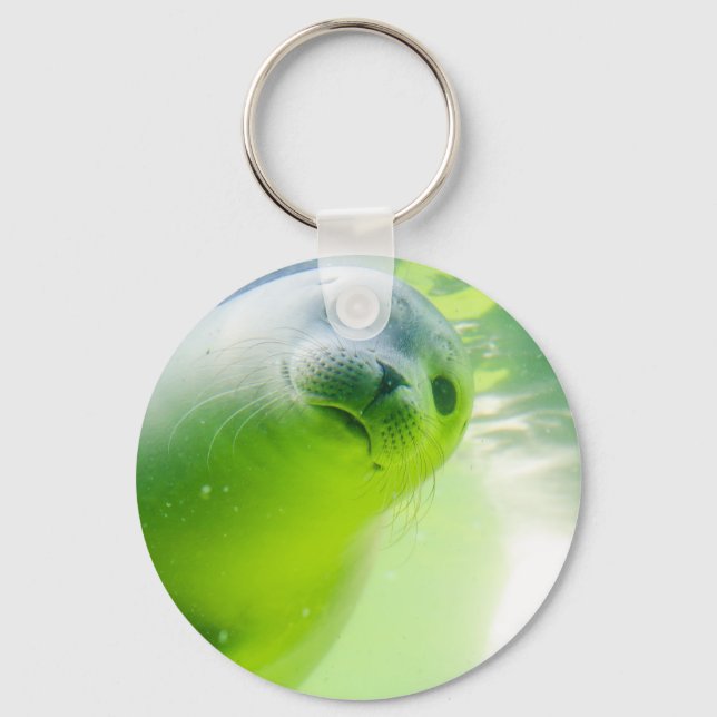 Cute Friendly Seal Underwater Keychain (Front)