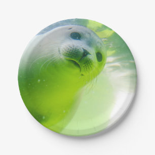 Cute Friendly Seal Underwater Paper Plate
