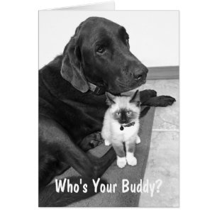 Cute Friends Labrador Kitten Photo personnalisée