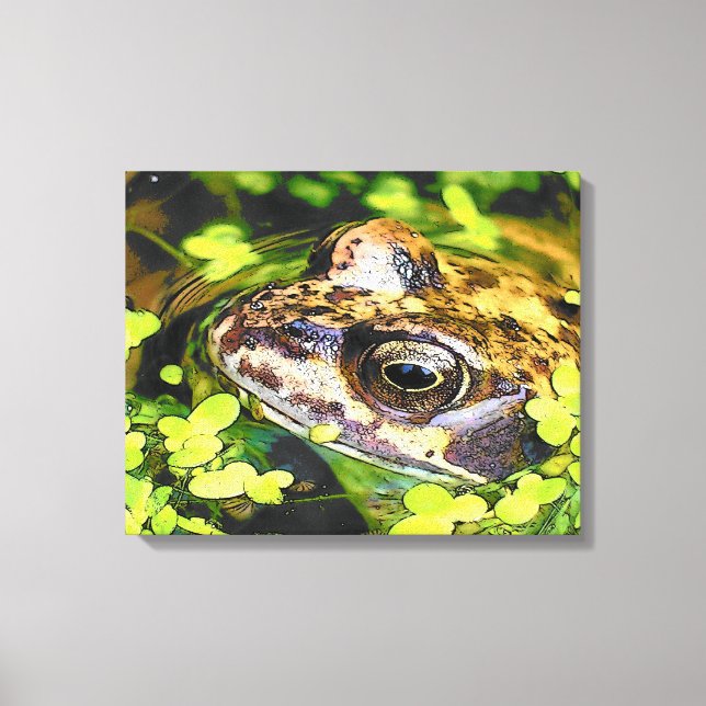 CUTE FROG CANVAS PRINT (Front)