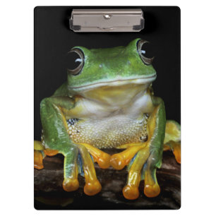 Cute Frog Clipboard