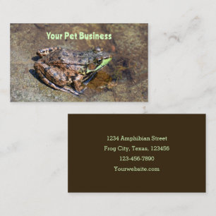 Cute Frog On Rocks In Water Business Card