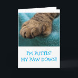 Cute "From The Cat" Custom Birthday Card<br><div class="desc">Fun card featuring a picture of Rupie's big paw. Personalize with your own cat's photo and give a really special greeting. Lots of fun for anyone who loves cats. Thanks for looking and hope you enjoy! Photo ©Christine Greenspan</div>