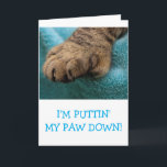 Cute "From The Cat" Custom Birthday Card<br><div class="desc">Fun card featuring a picture of Rupie's big paw. Personalize with your own cat's photo and give a really special greeting. Lots of fun for anyone who loves cats. Thanks for looking and hope you enjoy! Photo ©Christine Greenspan</div>