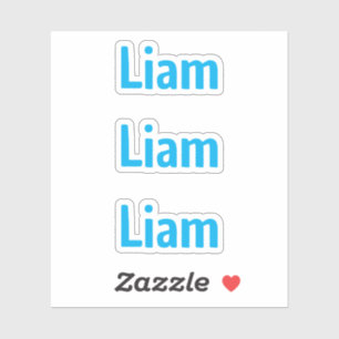 Cute Fun Blue Kids Name Sticker
