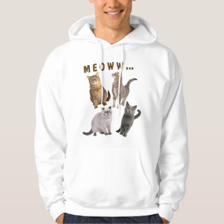 Cute Fun Cats Meow Hoodie