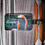 Cute fun pink flamingo birds photo custom name luggage tag<br><div class="desc">Who says flamingos can’t have fun with their favourite pal? Enjoy this entertaining image whenever you use this stunning, colourful photo personalized name luggage tag of two pink flamingos playing around. Makes a great gift for your best friend! Just type in the name of your choice and you can easily...</div>