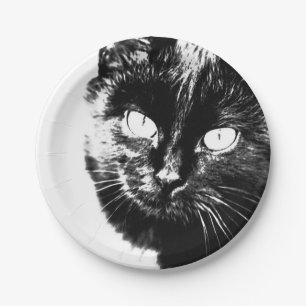 Cute Funky Black Cat Kitten Eyes Sketch Paper Plate
