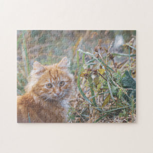 Cute Funky Ginger Cat Kitten Face Grass Jigsaw Puzzle