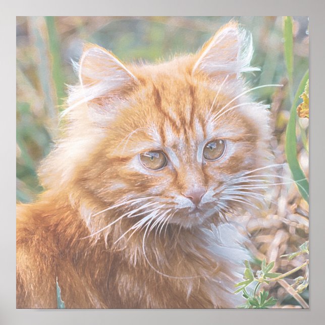 Cute Funky Ginger Cat Kitten Painting Poster (Front)