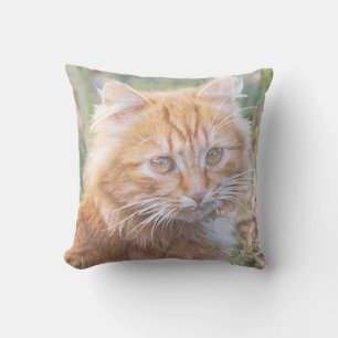 Cute Funky Ginger Cat Kitten Painting Throw Pillow