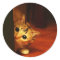cute_funny_animals_28 kitten cat sneaking peering