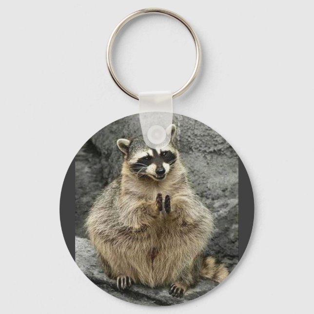 cute_funny_animals_35 RACCOON Praying Sitting Keychain (Front)