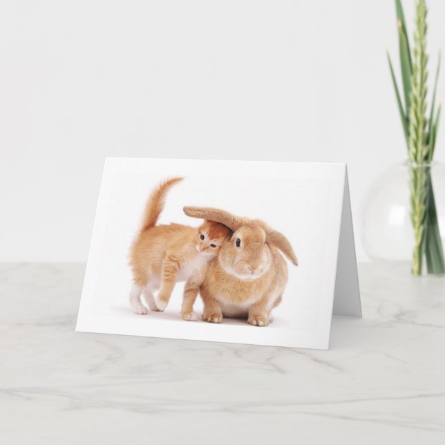 cute_funny_animals_8  kitten bunny rabbit friends card (Front)