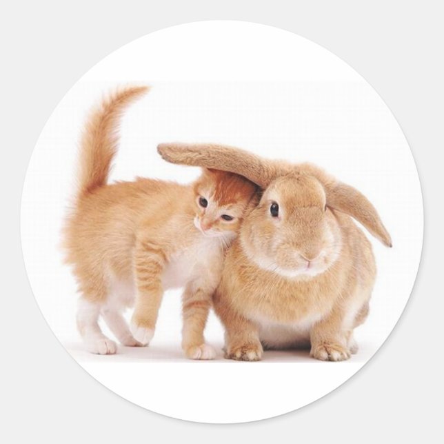 cute_funny_animals_8  kitten bunny rabbit friends classic round sticker (Front)