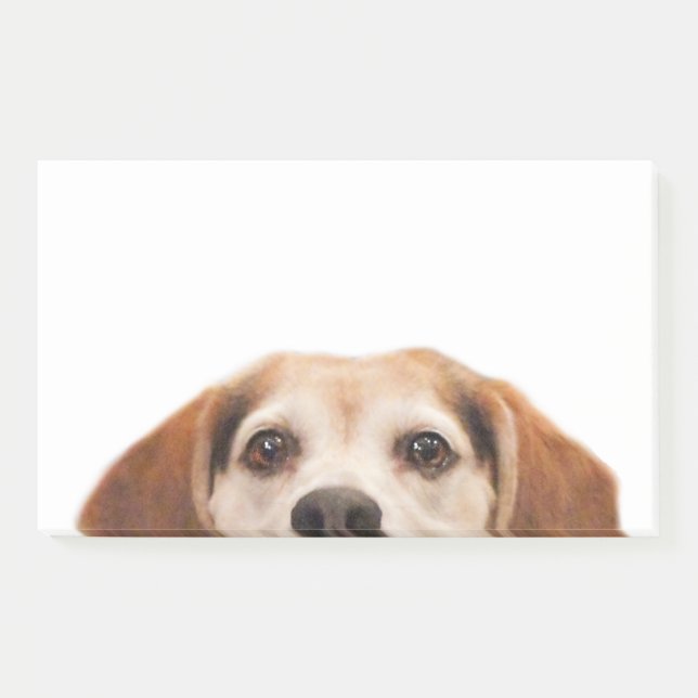 Cute Funny Beagle Dog Modern Trendy Post-it Notes (Front)