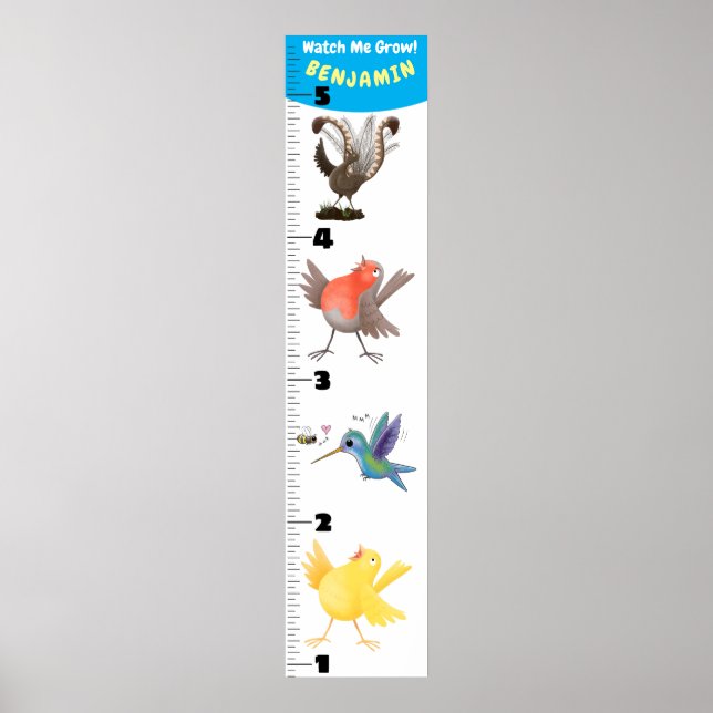 Cute funny birds cartoon poster (Front)