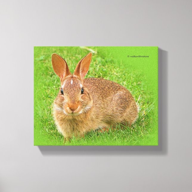 Cute Funny Bunny Nibbling  Fairway Greens Canvas Print (Front)