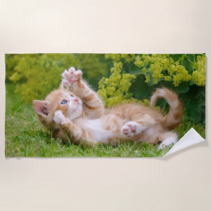 Cute funny cat kitten playing in a flowery garden  beach towel