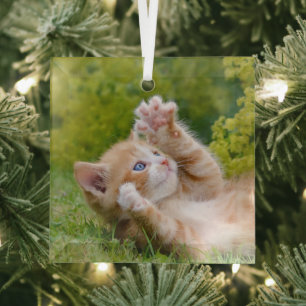 Cute funny cat kitten playing in a flowery garden glass ornament