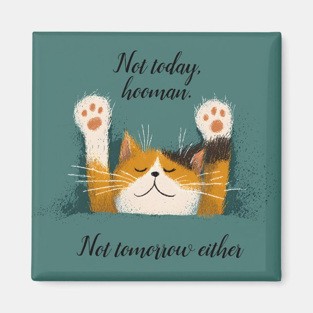 Cute Funny Cat Nap Magnet (Front)